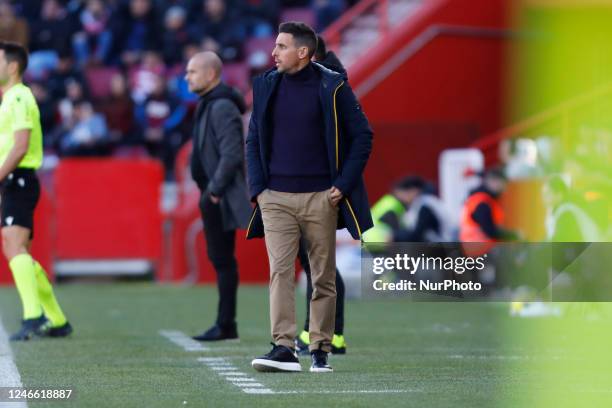 Eder Sarabia, manager of FC Andorra during the La Liga Smartbank match between Granada CF and FC Andorra at Nuevo Los Carmenes Stadium on 28 January,...