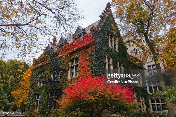 Building covered with autumn leaves at the University of Chicago in Chicago, United States, on October 18, 2022.