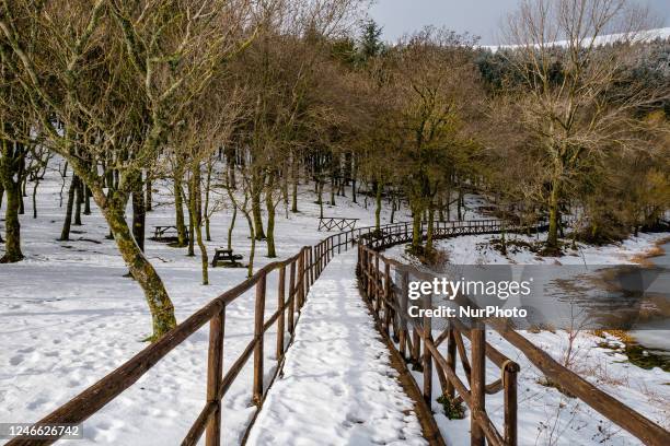 Snow around frozen Lake Pescara near Biccari and Monte Cornacchia, the highest point in Puglia, on 28 January 2023. Bad weather continues to scourge...