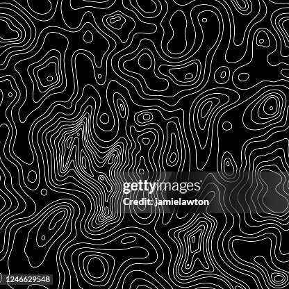 Seamless Topographic Contour Lines Seamless Topographic Contour Lines