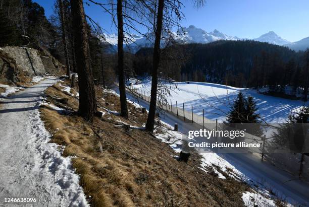 January 2023, Switzerland, St. Moritz: Bobsleigh: World Championship, Monobob, women, 3rd run, in the Olympic Bob Run St. Moritz - Celerina. View...