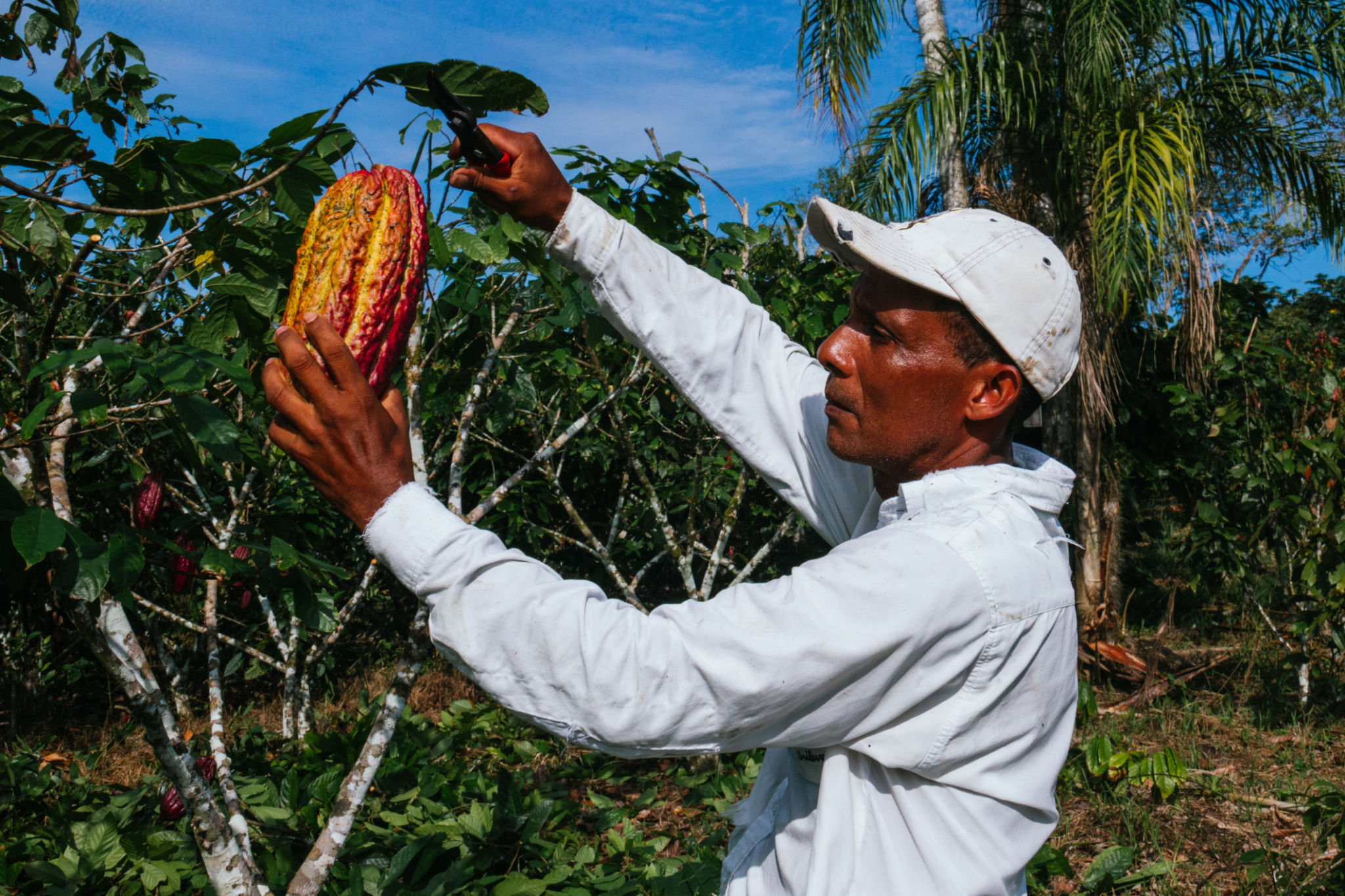ecuador farmers
