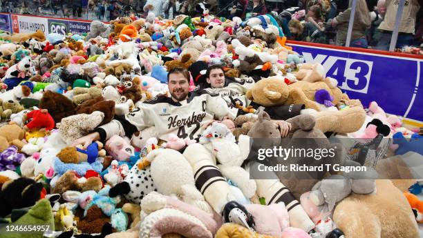 Dylan Mcilrath of the Hershey Bears and teammate Vincent Iorio jumps into a pile of teddy bears after an American Hockey League game during the...