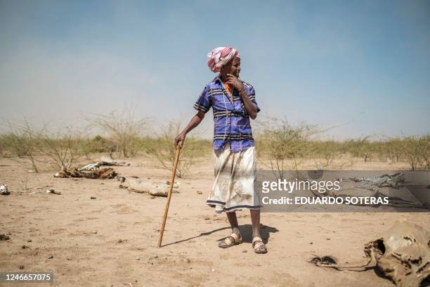Man stands among animal carcasses at the village of Antalale, 50 kilometres from the city of Gode, Ethiopia, on January 13, 2023. - The last five...