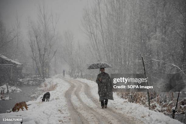 Man with an umbrella walks along a snow covered road during snowfall in Srinagar. The Kashmir valley received a fresh snowfall which disrupted the...