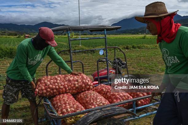 This photo taken on January 17, 2023 shows farmers loading sacks of harvested onions onto a tricycle at a farm in Bongabon, Nueva Ecija province. -...