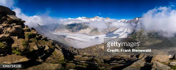Panoramic view of the Aletsch Glacier, the summits of the mountains Aletschhorn, Geisshorn and Rotstock sticking out of the clouds.