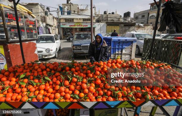 Seller awaits customers at the public market as daily life continues in Rafah, Gaza on February 01, 2023. Palestinians, who are trying to survive in...