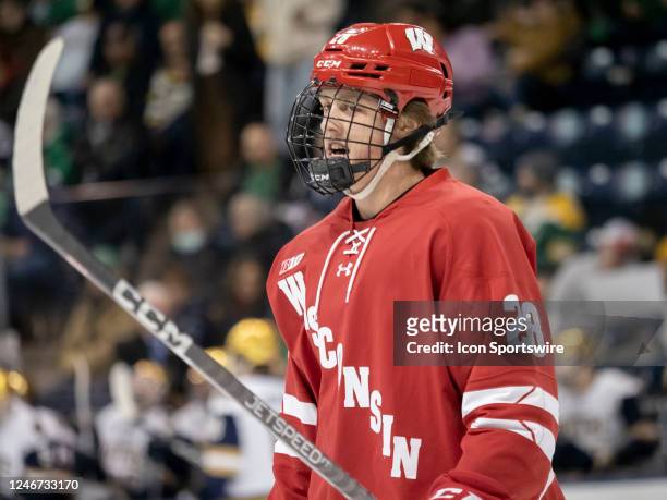 Wisconsin Badgers forward Charlie Stramel reacts after a play during a men's college hockey game between the Wisconsin Badgers and the Notre Dame...