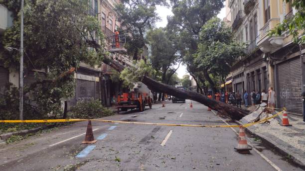 BRA: Summer Rain Knocks Down Tree And Causes Street Closure In Rio