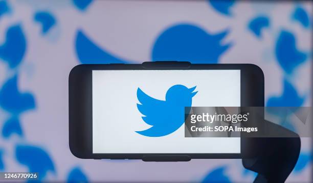 In this photo illustration, the Twitter logo is seen displayed on a mobile phone screen.