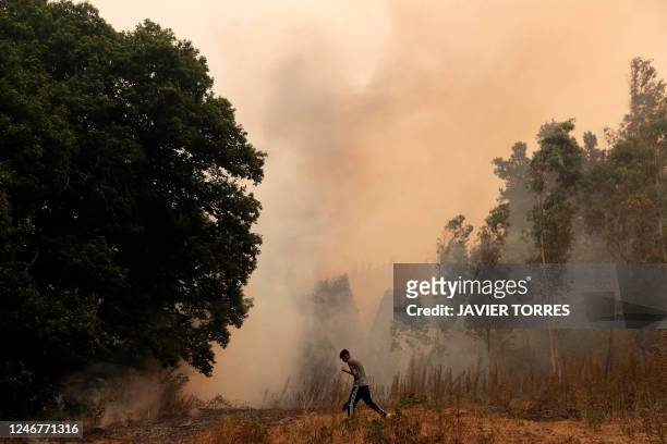 Man puts out a fire in Santa Juana, Concepcion province, Chile on February 3, 2023. - Chile has declared a state of disaster in several...