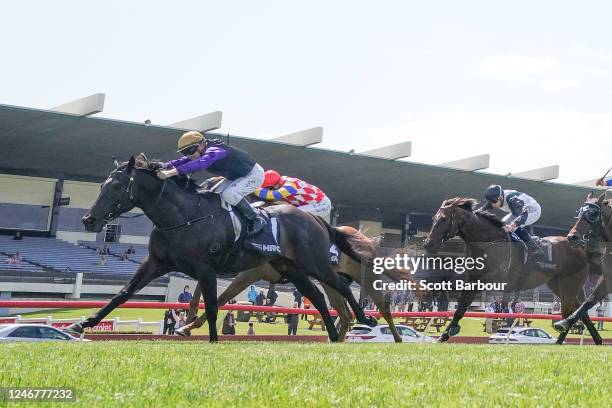 Carlisle ridden by Jarrod Fry wins the The Graham Archibald Girdwood Classic at Sandown Hillside Racecourse on February 04, 2023 in Melbourne,...