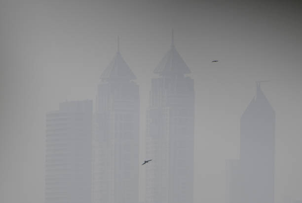 IND: Smog In Mumbai