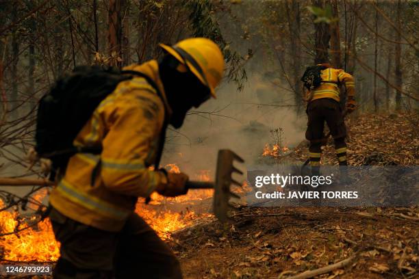 13 Nacimiento Chile Stock Photos, HighRes Pictures, and Images Getty