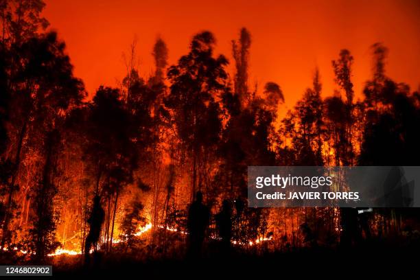 People fight a fire in Puren, Araucania region, Chile on February 4, 2023. - At least 23 people have died in hundreds of forest fires whipped up amid...