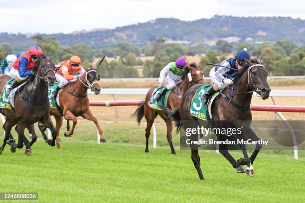 Ceerseven ridden by Tahlia Hope wins the Stavely Park Merino Stud Maiden Plate at Ararat Racecourse on February 05, 2023 in Ararat, Australia.