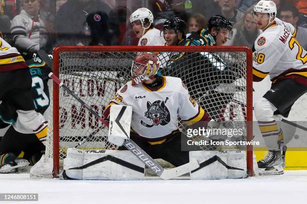 Chicago Wolves goalie Pyotr Kochetkov in goal during the third period of the American Hockey League game between the Chicago Wolves and Cleveland...