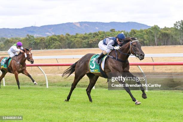 Ceerseven ridden by Tahlia Hope wins the Stavely Park Merino Stud Maiden Plate at Ararat Racecourse on February 05, 2023 in Ararat, Australia.