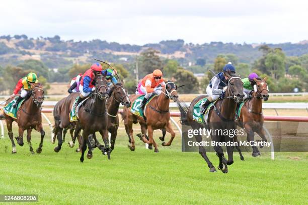 Ceerseven ridden by Tahlia Hope wins the Stavely Park Merino Stud Maiden Plate at Ararat Racecourse on February 05, 2023 in Ararat, Australia.