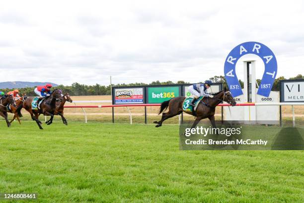 Ceerseven ridden by Tahlia Hope wins the Stavely Park Merino Stud Maiden Plate at Ararat Racecourse on February 05, 2023 in Ararat, Australia.