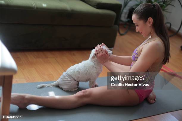 Artistic swimmer Regina Alferez performs exercises with her dog as part of a training session at home on June 05, 2020 in Mexico City, Mexico....