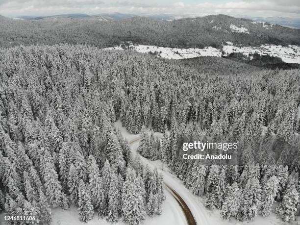 Daday 30 Daday Stock Photos, High-Res Pictures, and Images - Getty Images
