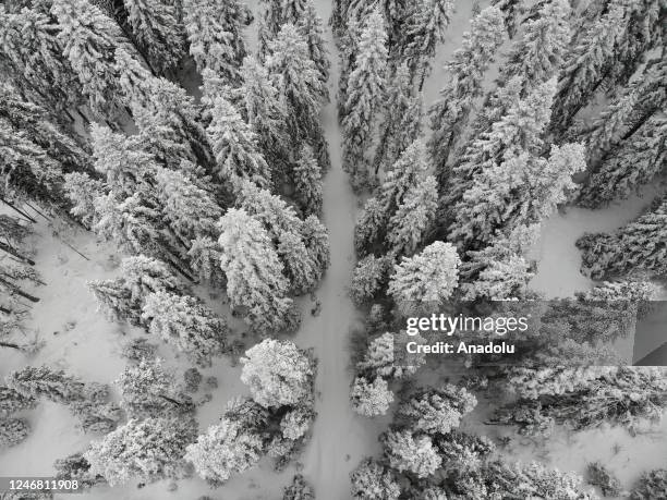Daday 30 Daday Stock Photos, High-Res Pictures, and Images - Getty Images