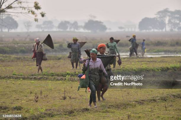 Tribal women carrying traditional fishing instrument return back to home after fishing in wetland in Nagaon district of Assam ,India on Feb 5 , 2023 .