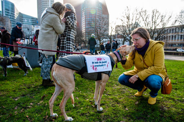 NLD: Demonstration Against The Abuse Of Hunting Dogs In Spain Took Place In The Hague