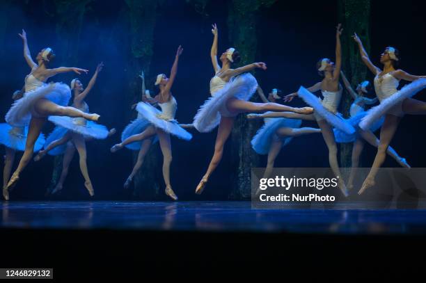 Dancers from the Royal Lviv Ballet during the performance of 'Swan Lake' at the Nowa Huta Cultural Centre in Krakow, Poland, on February 04, 2023....