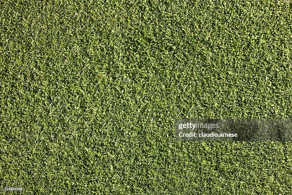 Putting Green. Imagem a cores