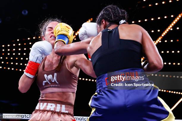 265,148 American Boxer Stock Photos, High-Res Pictures, and Images ...
