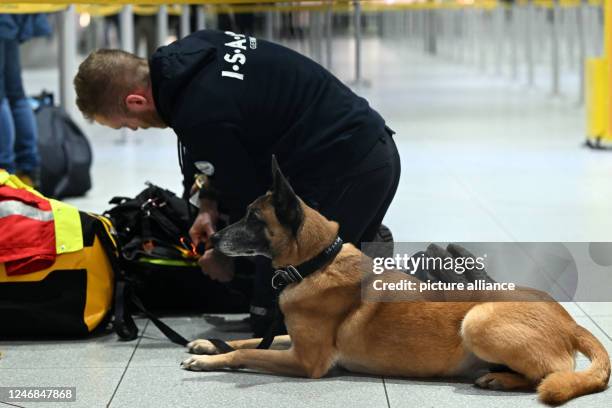 February 2023, North Rhine-Westphalia, Cologne: Rescue dog Hope waits for departure at Cologne/Bonn Airport. To help the victims of the severe...