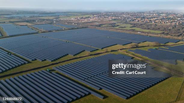 Solar panels are pictured at Owl's Hatch Solar Park on February 7, 2023 in Herne Bay, England. One of the UK's largest solar parks, Owls Hatch Solar...