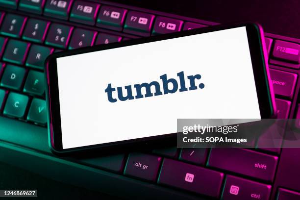 In this photo illustration a Tumblr logo seen displayed on a smartphone.