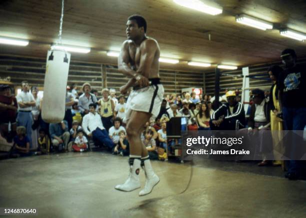 319 Muhammad Ali Deer Lake Stock Photos, High-Res Pictures, and Images ...
