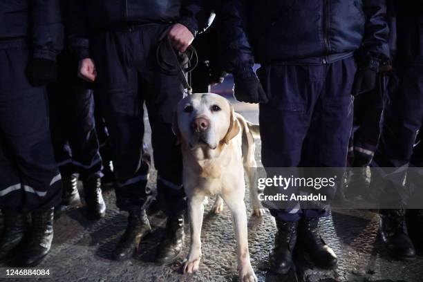 Rescue dog is seen ahead of departure of Belarusian rescuer plane from Minsk, Belarus to arrive flew quake-hit regions in Turkiye to help search and...