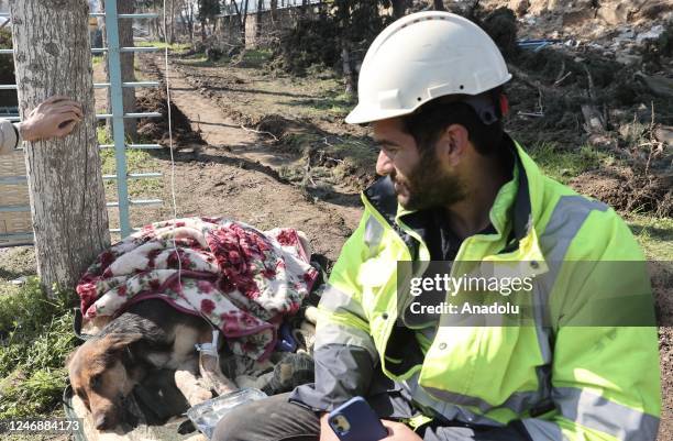 Dog is reescued 55 hours after 7.7 and 7.6 magnitude the earthquakes hit Hatay, Turkiye on February 07, 2023. Early Monday morning, a strong 7.7...