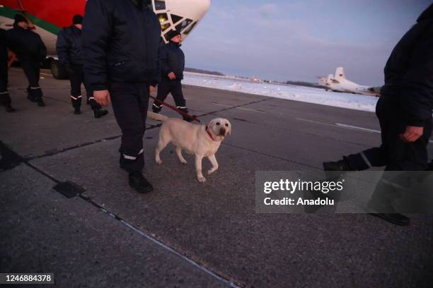 Rescue dog is seen ahead of departure of Belarusian rescuer plane from Minsk, Belarus to arrive flew quake-hit regions in Turkiye to help search and...