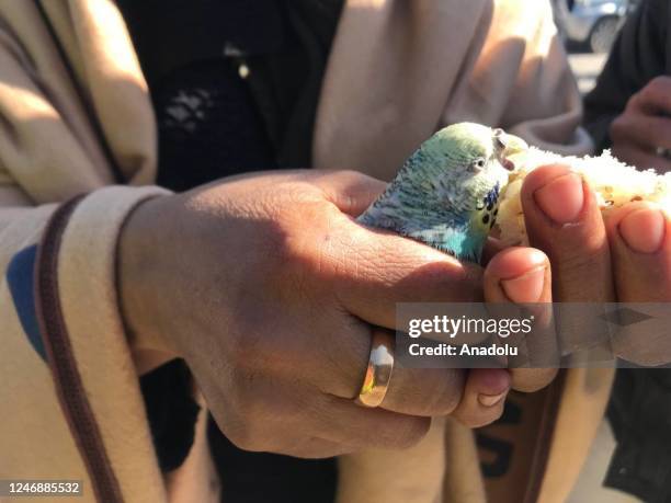 Years-old Berat and his budgerigar rescued 55 hours after 7.7 and 7.6 magnitude the earthquakes hit Hatay, Turkiye on February 08, 2023. Early Monday...