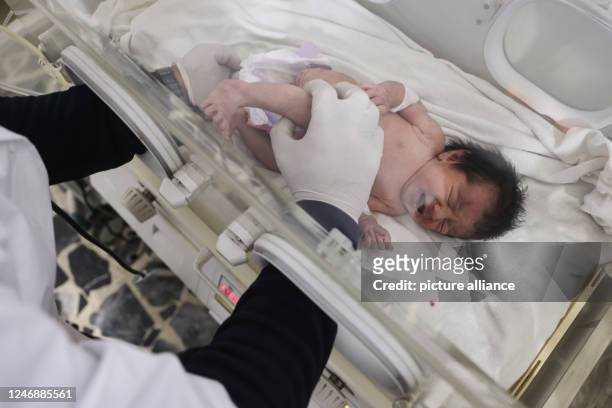 February 2023, Syria, Afrin: A newborn girl lies inside an incubator as part of her medical checkup at a children's hospital in the Syrian town of...