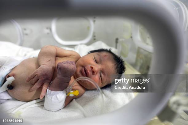 Baby girl, who was born under the rubble in the town of Jinderis located in Syria's Idlib district, receives treatment inside an incubator at a...