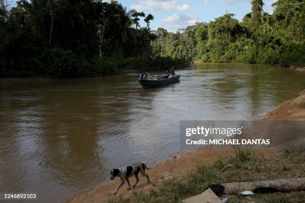 Alleged illegal miners leave an illegal mining area by boat as they pass through Porto do Arame, located on the banks of the Uraricoera river inside...