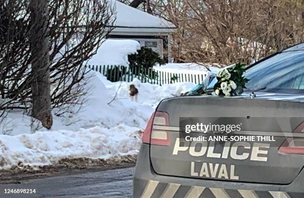 White flowers lay on a police car near the location where a city bus crashed into a day care center, in Laval, Quebec, Canada, on February 8, 2023. -...