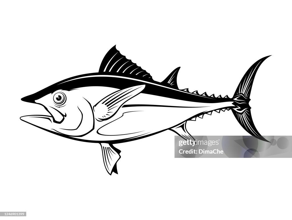 Tuna fish silhouette - cut out vector icon