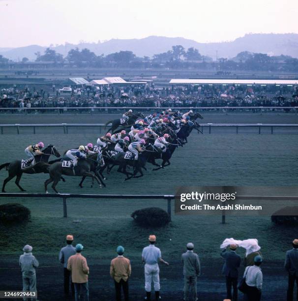 General view of the 34th Japan Derby at the Tokyo Racecourse on May 14, 1967 in Fuchu, Tokyo, Japan.