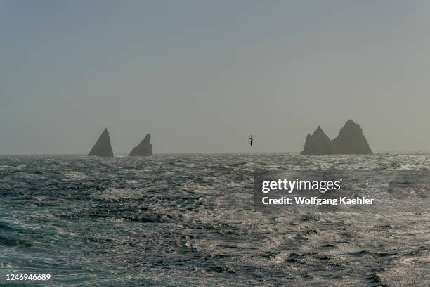 Shag Rovcks Shag Rocks South Georgia Photos and Premium High Res Pictures - Getty ...
