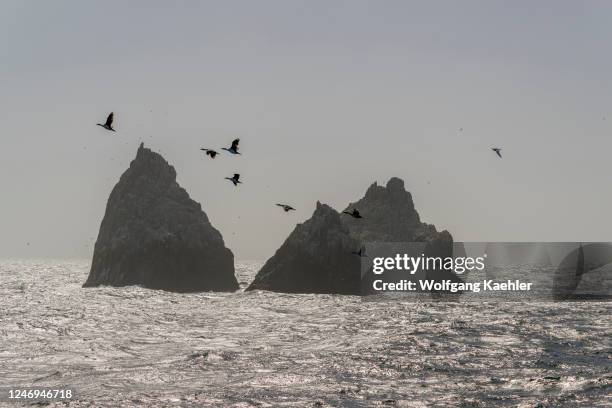 Shag Rovcks Shag Rocks South Georgia Photos and Premium High Res Pictures - Getty ...