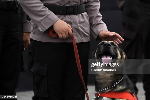 Police unit hold their dogs during a humanitarian mission discharge event to Turkiye and Syria to participate in search and rescue operations at the...